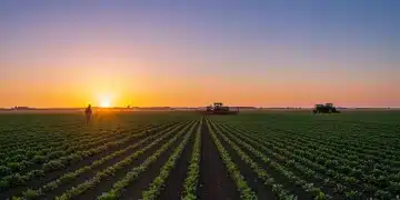Sunrise over a flourishing agricultural field, symbolizing growth and resilience in farming.