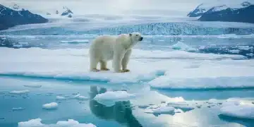 Polar bear on melting ice floe, symbolizing Arctic climate change and environmental urgency